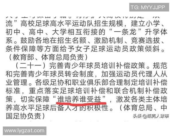 足球培训补偿机制探讨与实施对青少年发展的影响分析